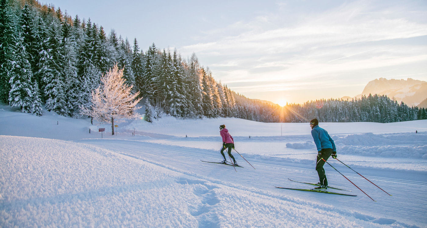 Langlaufen-und-Biathlon