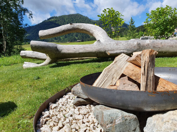 Nahaufnahme Brennholz in Schale mit Alpenhintergrund