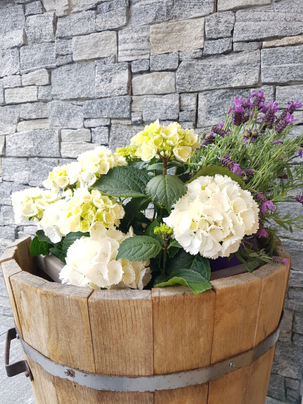Blumenfass mit Hortensien vor Natursteinwand am Eingang