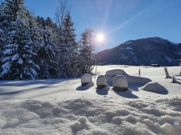 Glitzernder Schnee, Sonne über Feuerstelle und Alpwiese vorm Chalet