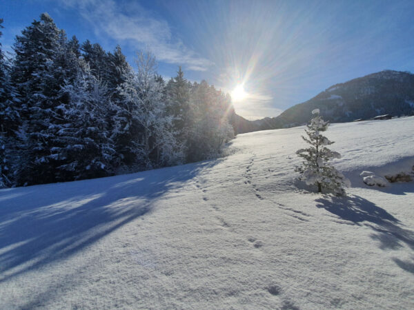 Wintersonne über verschneiter Almwiese vor dem Chalet