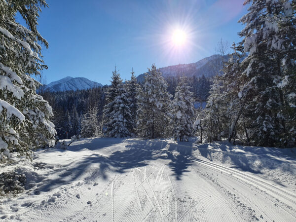 Frisch präparierte Winterloipe unweit des Apartments